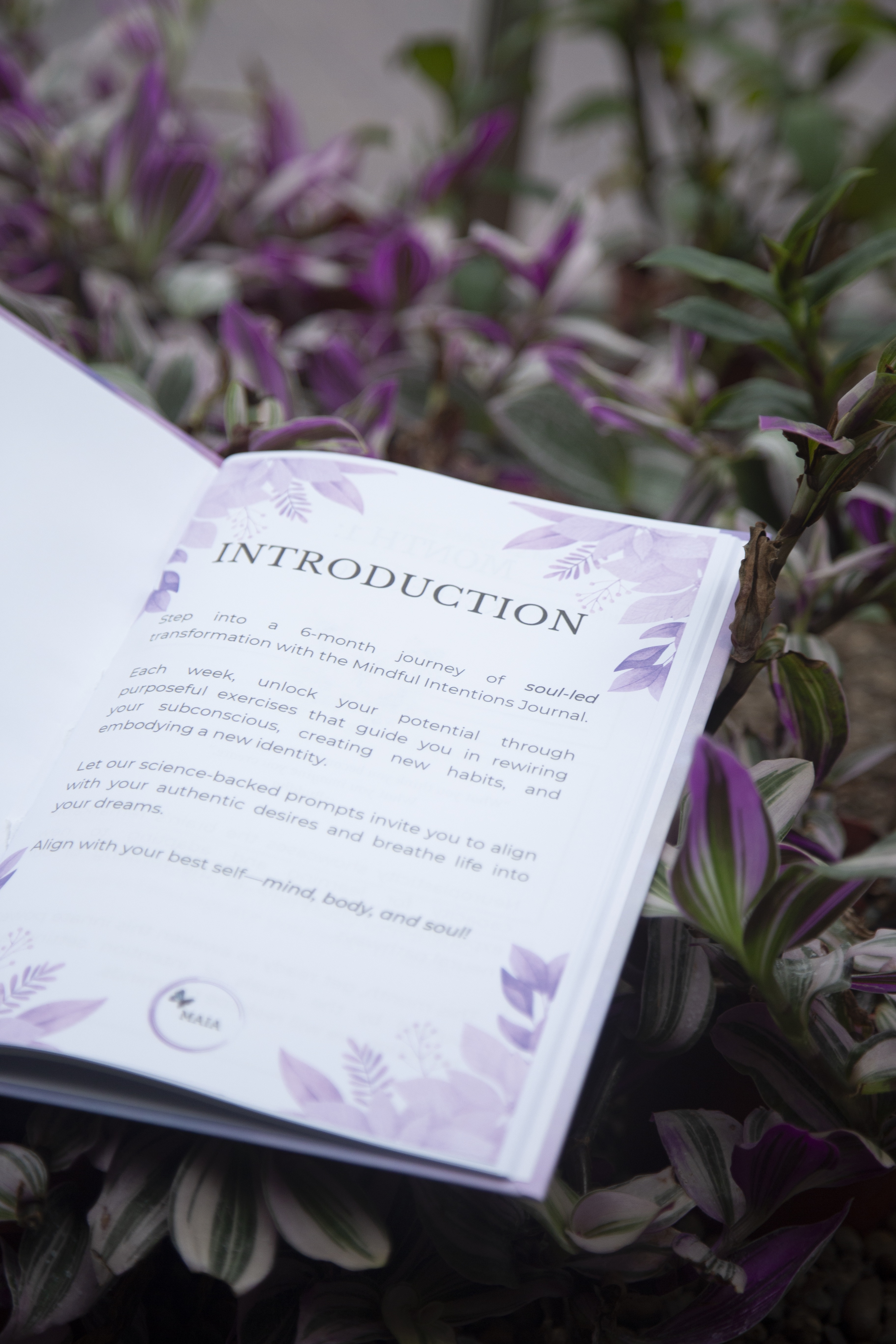 Image of the Mindful Intentions journal
